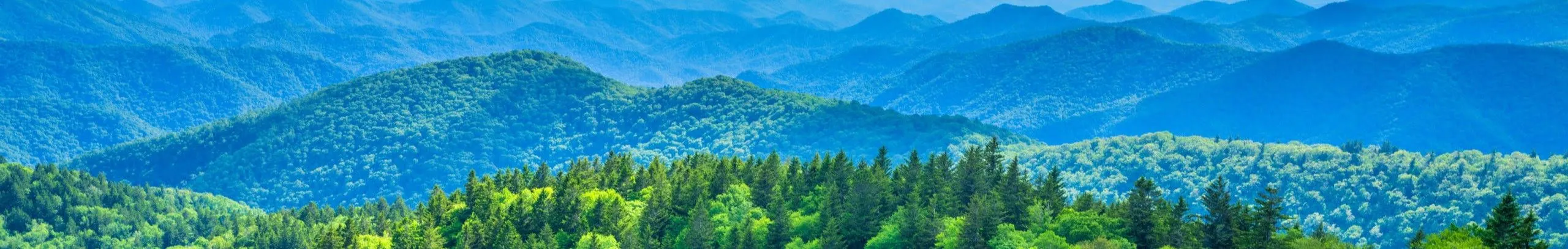 Greenbrier